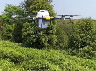 drones en la agricultura Ecuador