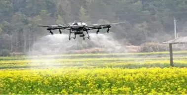 drones en la agricultura en aguascalientes entrevistas