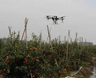 drones para fumigar aguacates