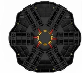 estructura interna de esqueleto multicadena