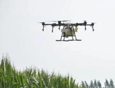 uso de drones en la agricultura cara convatir plagas